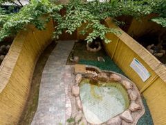-御林汤泉