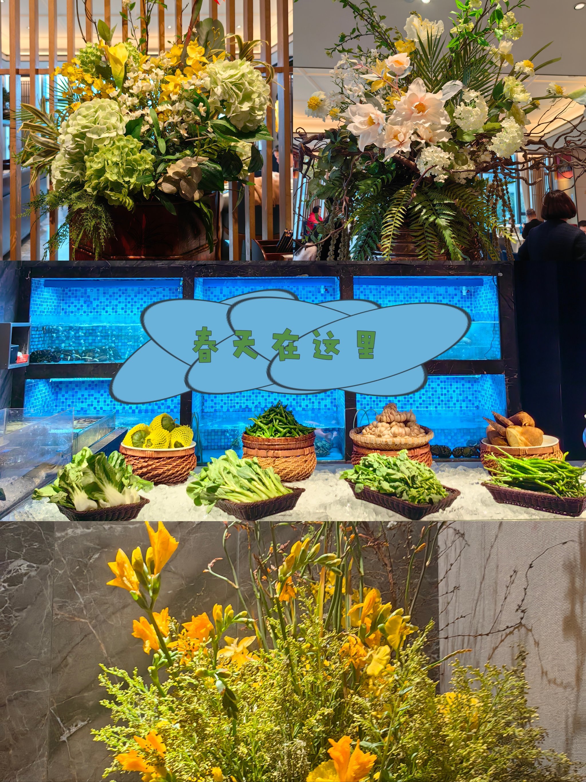 百年匠心传承,春菜正当时,寻味天然台19082️⃣