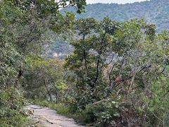 -五龙洞国家森林公园