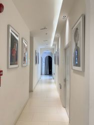 -Two  Monkeys 孕婴写真馆(龙华店)