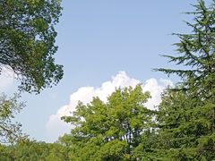 -东湖落雁景区