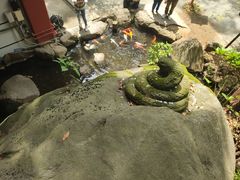 -来宫神社