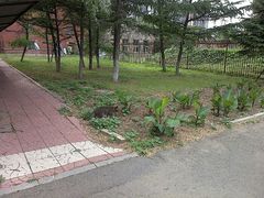 -辽宁大学(崇山校区)