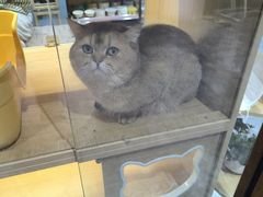 -大自然花鸟鱼虫市场