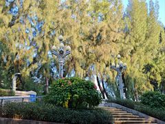 -宝安西湾红树林湿地公园