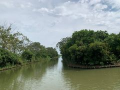 -大湾区中央湿地公园