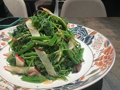 橄榄油拌丝瓜苗-芙蓉十九·新湘菜