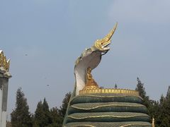 -洛阳白马寺