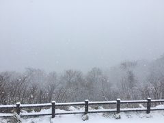 -支芴洞爷国立公园