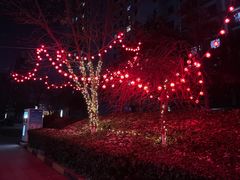 -红豆焖罐面·新邯郸菜(光明店)