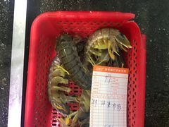-蚝专家(北滘店)