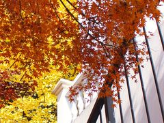 -食膳公园包子铺(烈士公园店)