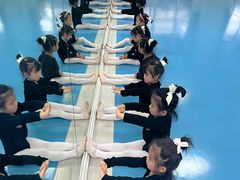 -西安小天鹅艺术团(曲江Alice店)