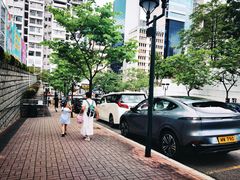 -九龙公园