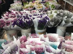 -秦美花卉(天朗·莱茵小城2期店)