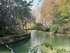 -上海醉白池公园