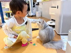 -COLOR PETS 撸猫馆·购猫·猫咖(长风大悦城店)