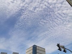 -陆家嘴世纪金融广场