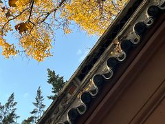 -苏州文庙(姑苏区)