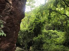 -云岫谷自然风景区