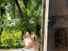 -海南清水湾莱佛士酒店