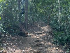 -泰山风景名胜区-普照寺