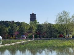 -永定河休闲森林公园