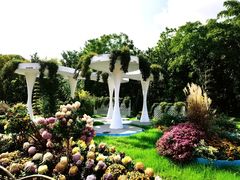 -上海共青森林公园