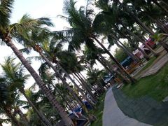 白沙湾露营区-白沙湾海滩