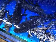 -徐记海鲜(梅溪新天地店)