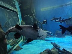 -多彩贵州城极地海洋世界