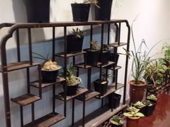 iphone_upload_pic-双季花艺园艺市场(浦东店)