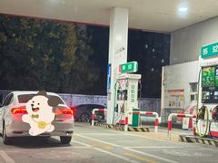 -梅子大排档