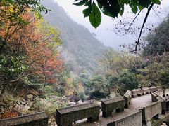 -白云源风景区