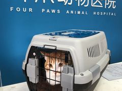 -福州肆爪动物医院