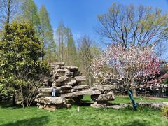 -黄海国家森林公园