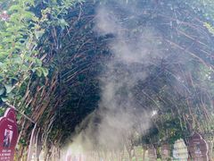 -武汉紫薇都市田园