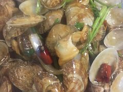 辣炒花蛤-叶存利海鲜大馅饺子(东戴河止锚湾店)