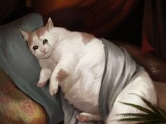 -毛华美食(清扬路店)