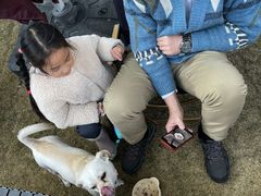 -J Create城市露营咖啡·简餐·宠物(上海动物园店)