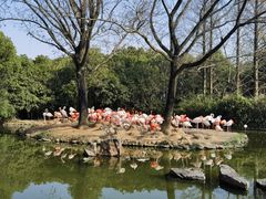 -上海野生动物园