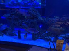 -上和臻品中国菜(花园街店)