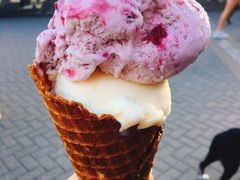 冰淇淋-Patagonia Chocolates(皇后镇店)