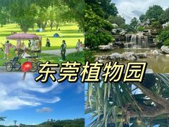 -东莞植物园