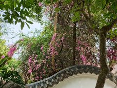 -深圳国际园林花卉博览园