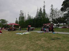 -两河城市森林公园