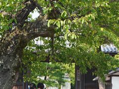 -京都冈本和服体验租赁店(清水寺店)