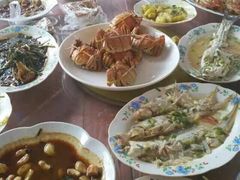 -小六农家乐(崇明西沙湿地店)