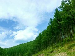 -塞罕坝国家级自然保护区