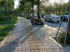 -宝安西湾红树林湿地公园